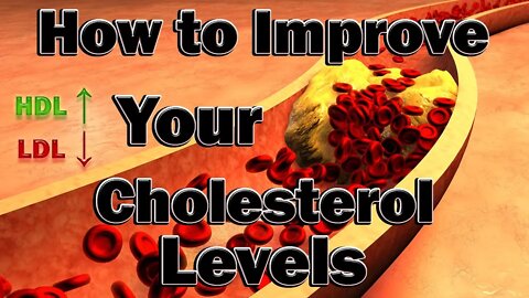 How to Improve Cholesterol Levels on TRT! Lower LDL, Lower Triglycerides, Raise HDL!