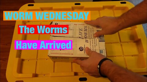 Worm Wednesday: The Worms Have Arrived