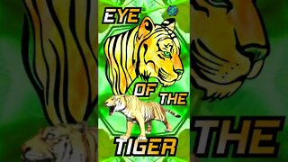 eye of the tiger #animal #tiger #musicnft