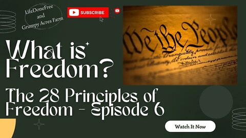 What is Freedom? 28 Principles of Freedom - Episode 6