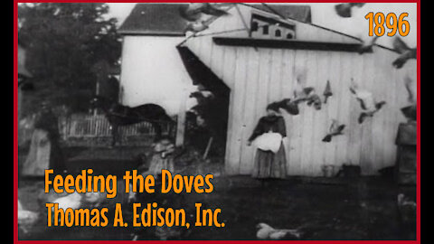 Feeding The Doves - 1896