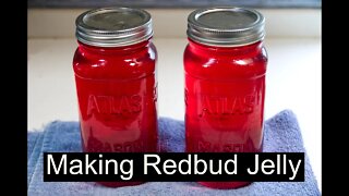 Making Redbud Jelly - Quick and Easy!