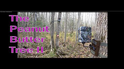 Trail Cam Adventures - The Peanut Butter Tree II