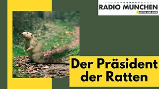 Der Präsident der Ratten@Radio München🙈🐑🐑🐑 COV ID1984