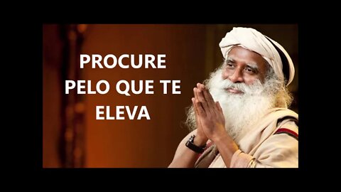 PROCURE PELO QUE TE ELEVA, SADHGURU, DUBLADO