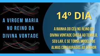 14º Dia | Livro "A Virgem Maria no Reino da Divina Vontade" #litcatolica