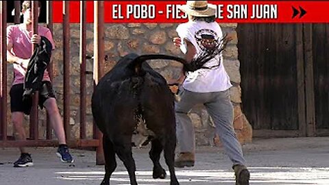 🏃‍♂️❤️‍🔥 ¡CORRE! ▪ EL POBO ▪ San Juan ▶ Vacas bravas y toro de LOS CHATOS