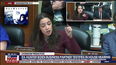 AOC and Tony Bobulinski Have A Heated Exchange During Joe Biden Impeachment Hearing