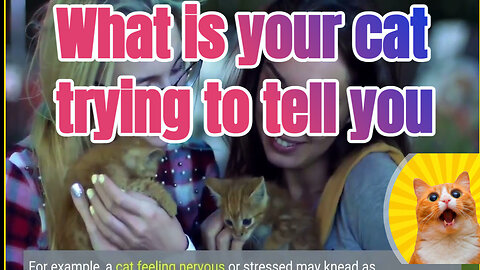 What is your cat trying to tell you