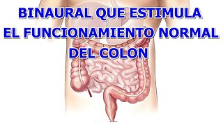 BINAURAL PARA ESTIMULAR EL FUNCIONAMIENTO NORMAL DEL COLON O INTESTINO GRUESO