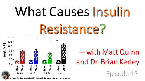 Ep. 18: What Causes Insulin Resistance?—with Matt Quinn and Dr. Brian Kerley