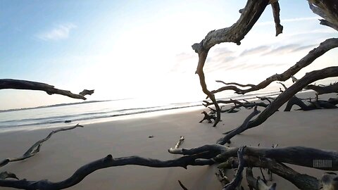 Talbot Island 🌅