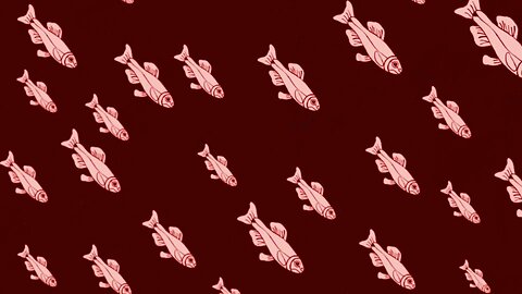 Little Fishes - The Claypool Lennon Delirium