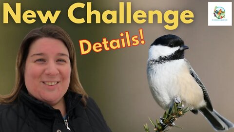 New Challenge For All Homesteaders | Migrating Birds