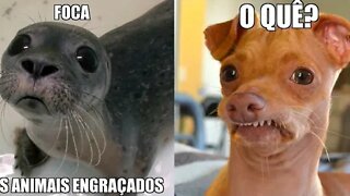 DUBLANDO OS ANIMAIS MAIS ENGRAÇADOS"se rir você perde,valendooo"Parte 5😝