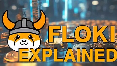 FLOKI Explained