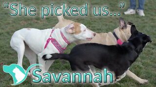 Tia, Tommy, and "Savanah" | "She picked us..."