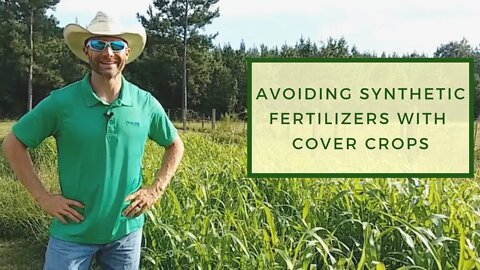 Avoiding Synthetic Fertilizers with Cover Crops