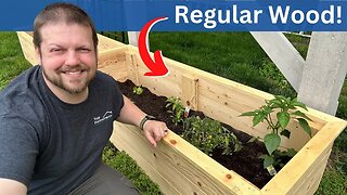 How to Build DIY Raised Garden Beds on a Budget: Step-by-Step Instructions