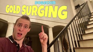 Gold SURGING With Dogecoin and Bitcoin ~ Should You Invest RIGHT NOW?