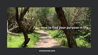 How to find your purpose in life