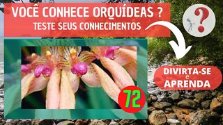 72 - VOCÊ CONHECE ORQUIDEAS ? QUAL O NOME DESSA ORQUIDEA?DIVIRTA-SE IDENTIFICANDO ESSA ORQUÍDEA