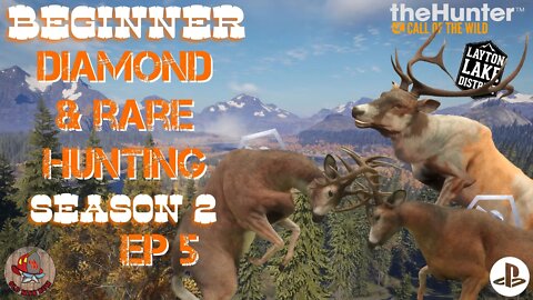 Beginner DIAMOND & RARE Hunting Ep 35 Call of the Wild