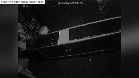 Video surveillance of juveniles breaking into gun store