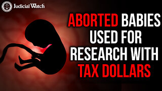 OUTRAGEOUS: ABORTED BABIES USED FOR RESEARCH—WITH YOUR TAX DOLLARS!