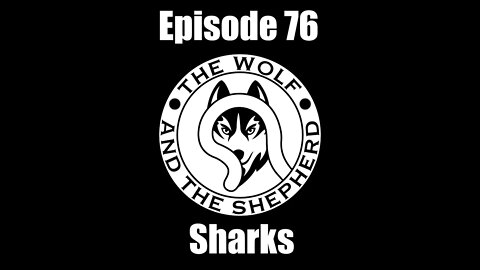 Episode 76 - Sharks