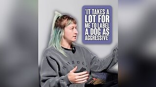 “It takes a lot for me to label a dog as aggressive”
