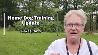 Home Dog Training Update July 19, 2023