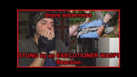 Reaction: STUNG by an EXECUTIONER WASP!