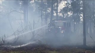 FL Forest Service doesn't expect brushfires to slow until Spring rains