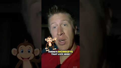 Florida Wild Monkeys - DID YOU KNOW?