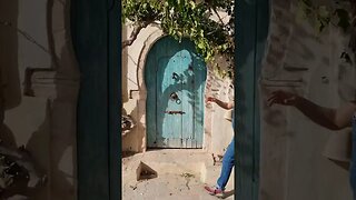 Tunisia Mini Travel Vlog