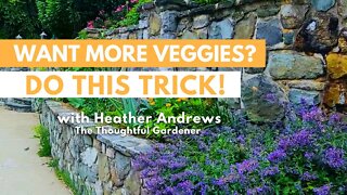 Want more VEGGIES? DO THIS TRICK!