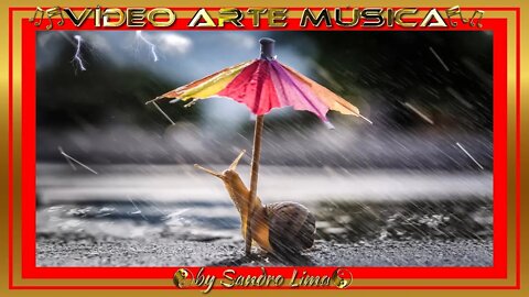 PROJETO: Uma lesma com um guarda-chuva colorido num dia chuvoso | MÚSICA: Alegria da Chuva Tropical