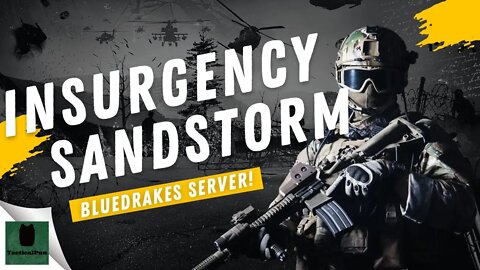 Insurgency Sandstorm on Bluedrake's Custom server!!!!