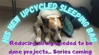 UPCYCLING an old sleeping bag for our DOG