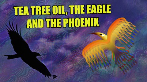 Tea Tree Oil, the Eagle and the Phoenix