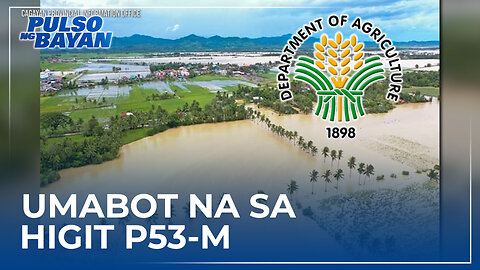 Pinsala ng bagyong Egay at habagat sa sektor ng agrikultura, umabot na sa higit P53-M - DA