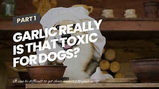 Garlic really is that toxic for dogs?