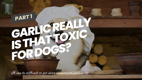 Garlic really is that toxic for dogs?