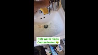 (Wormwood) Water is Contaminated in NYC