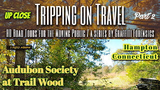 Tripping on Travel: Audubon Society at Trail Wood 2, Hampton, CT