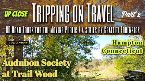 Tripping on Travel: Audubon Society at Trail Wood 2, Hampton, CT