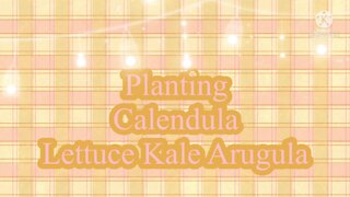 Planting: Calendula Lettuce Kale Arugula