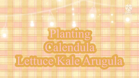 Planting: Calendula Lettuce Kale Arugula
