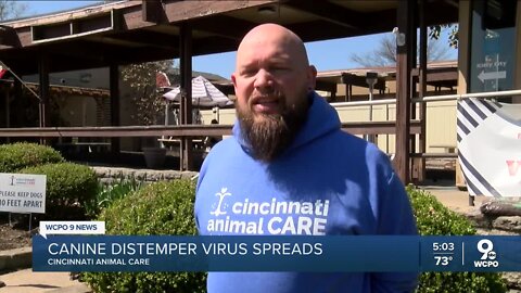 Distemper virus spreads inside animal shelter